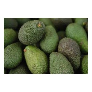 AGUACATES HASS ECOLOGICOS  KG. 