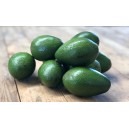 AGUACATES BACON ECO KG
