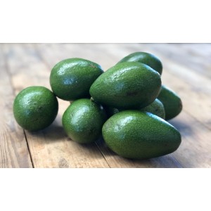 AGUACATES FUERTE ECO KG